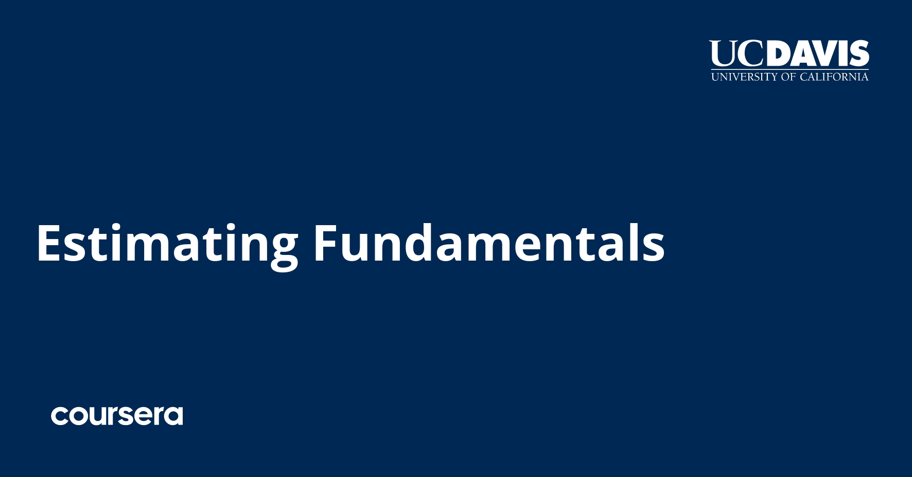 Estimating Fundamentals