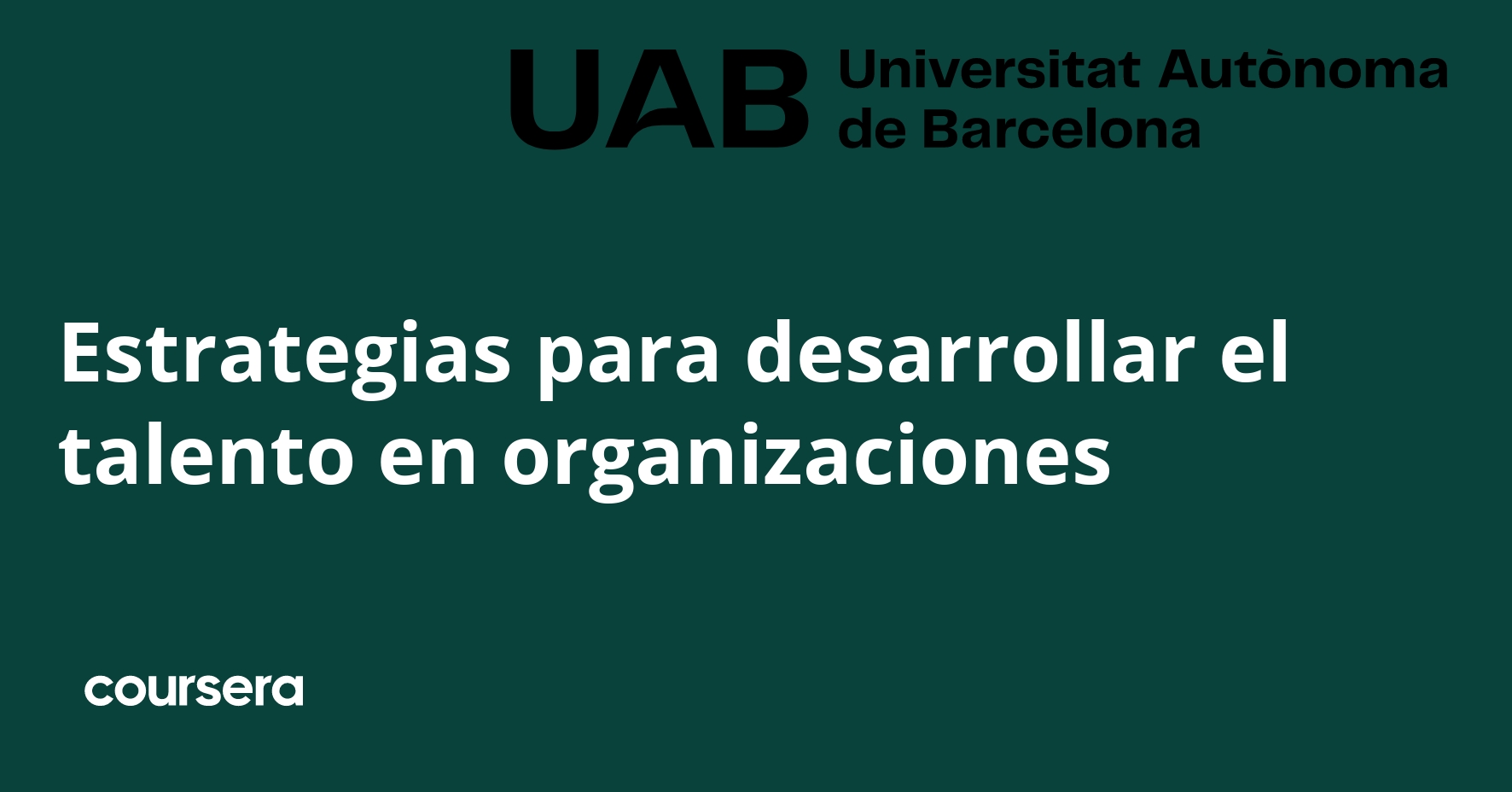 Talent Development Strategies in Organizations