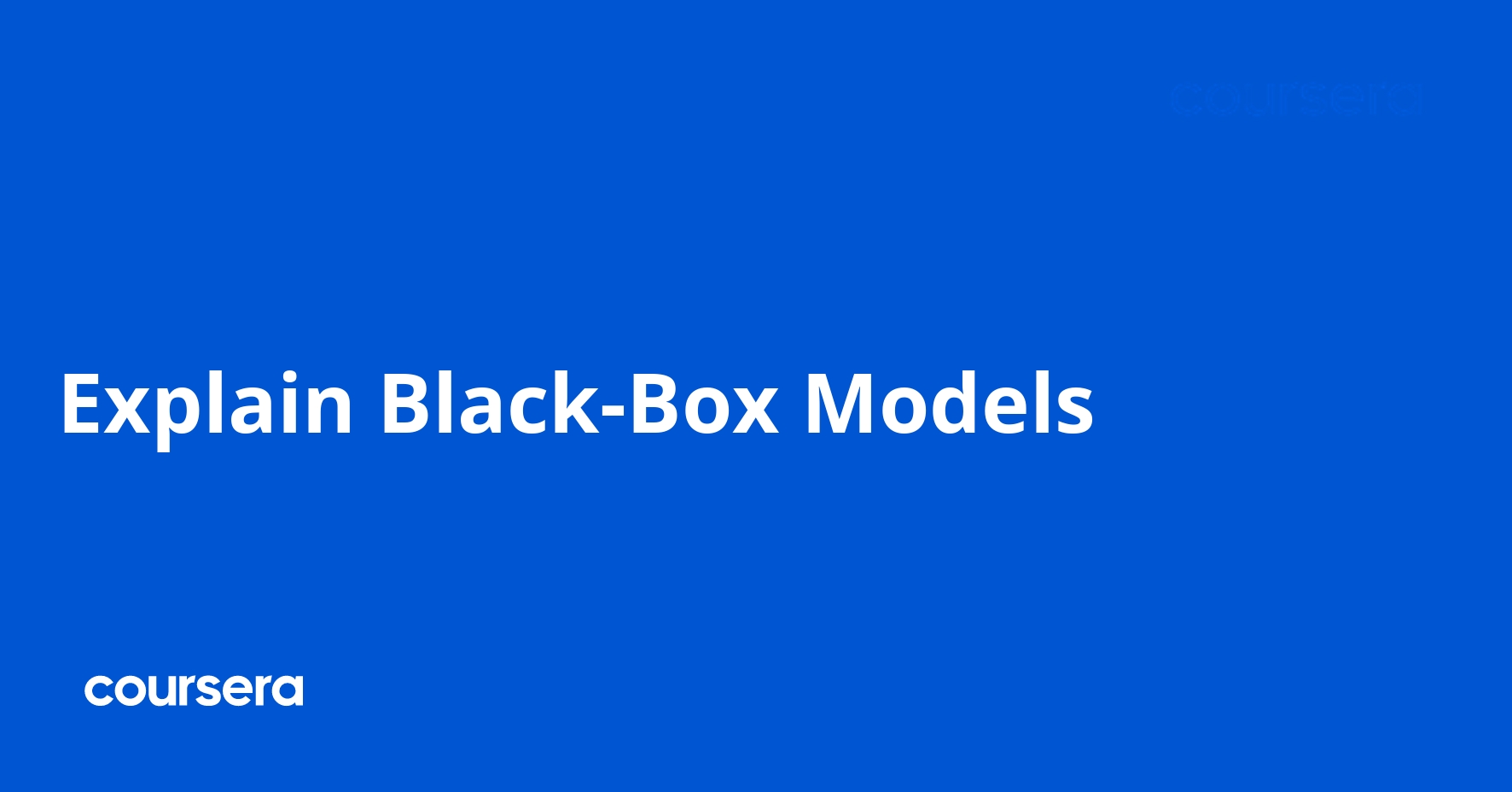 Explain Black-Box Models