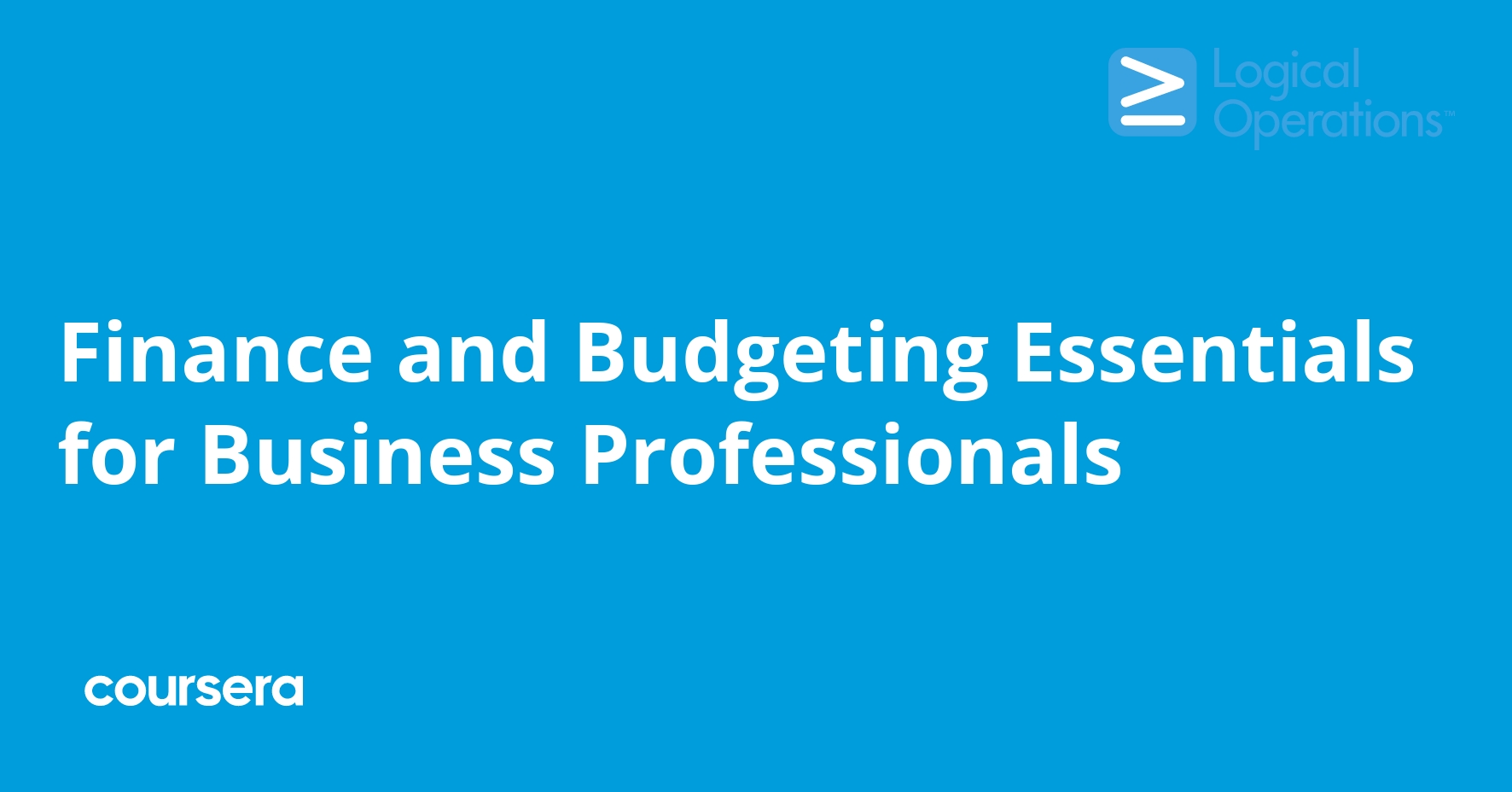 Finance and Budgeting Essentials for Business Professionals