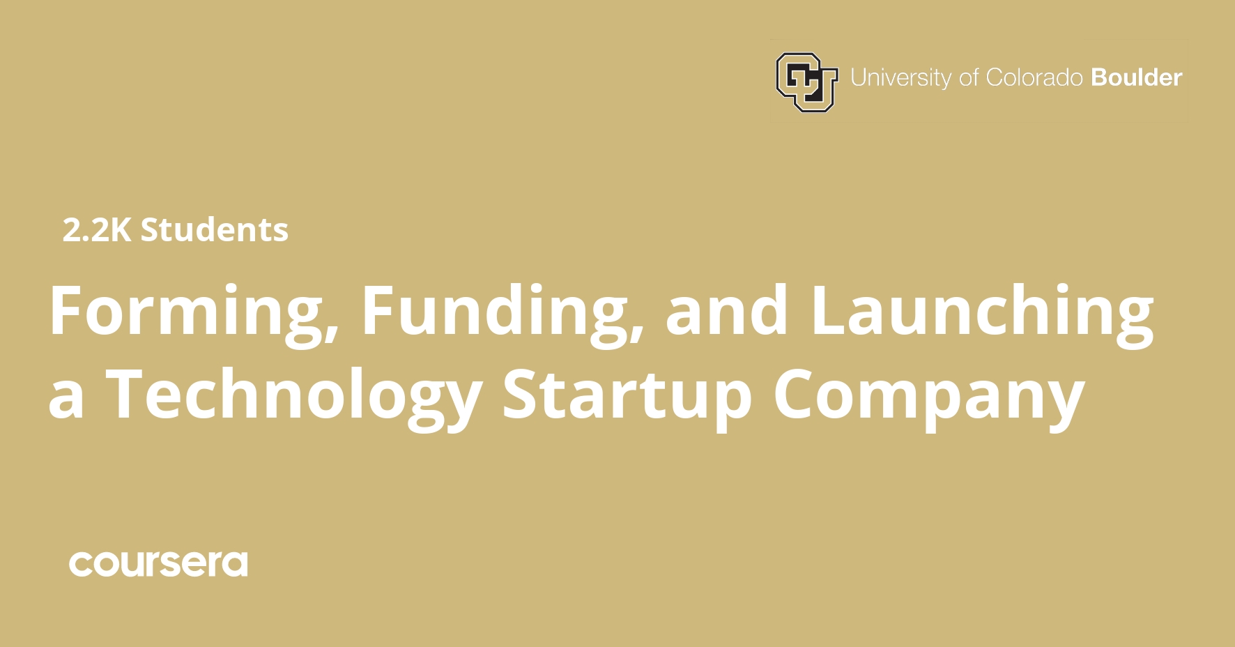 Forming, Funding, and Launching a Technology Startup