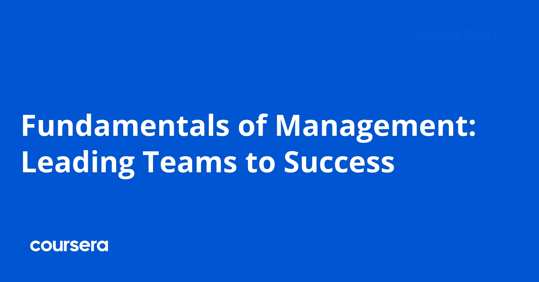 Fundamentals of Management: Leading Teams to Success