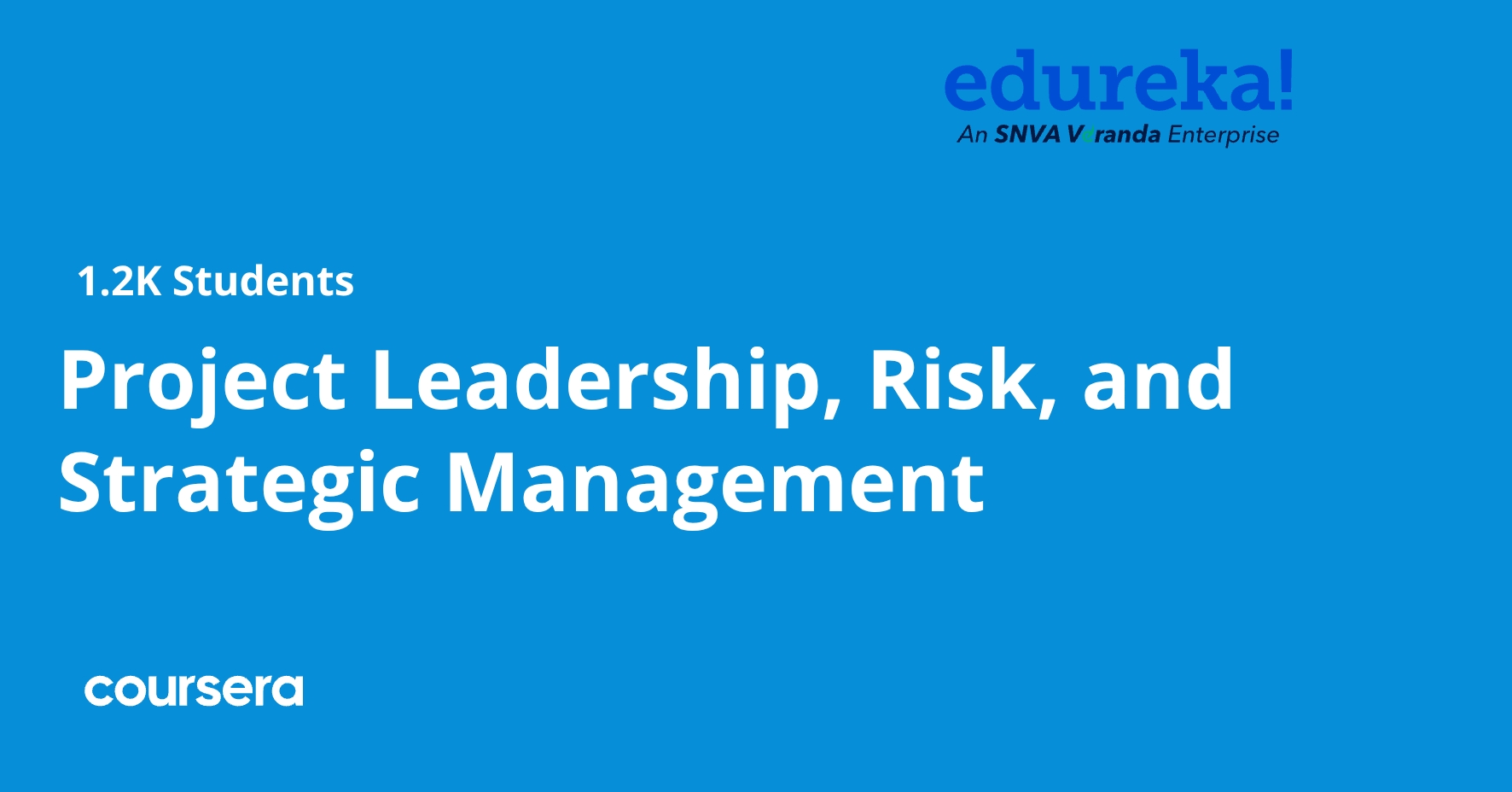 Project Leadership, Risk, and Strategic Management | Coursera