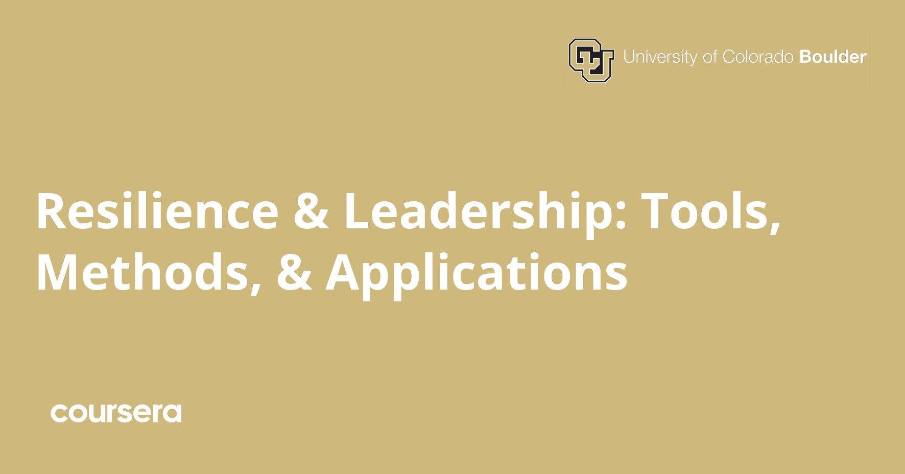 Resilience & Leadership: Tools, Methods, & Applications