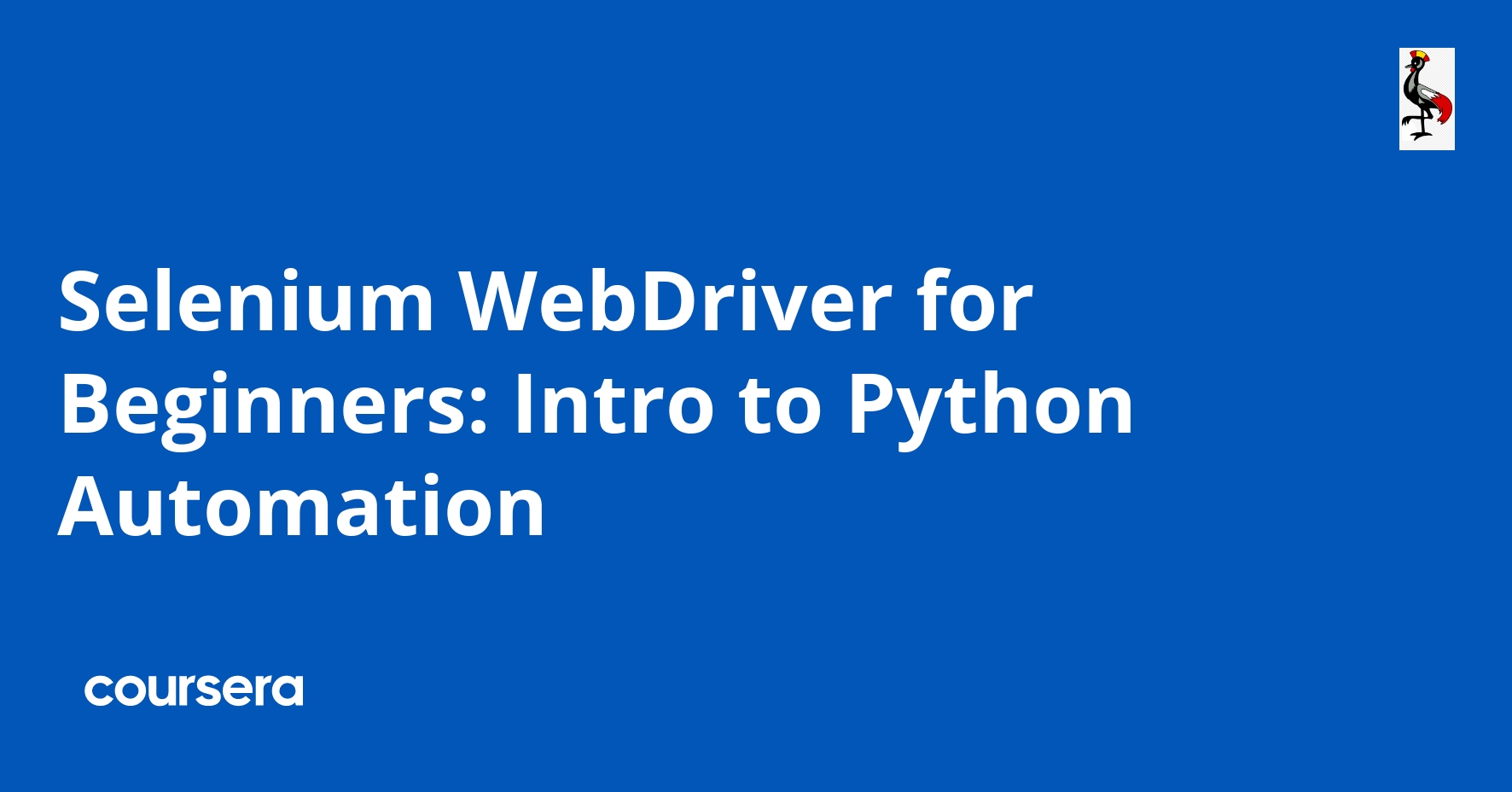Selenium Driver for Beginners Intro to Python Automation