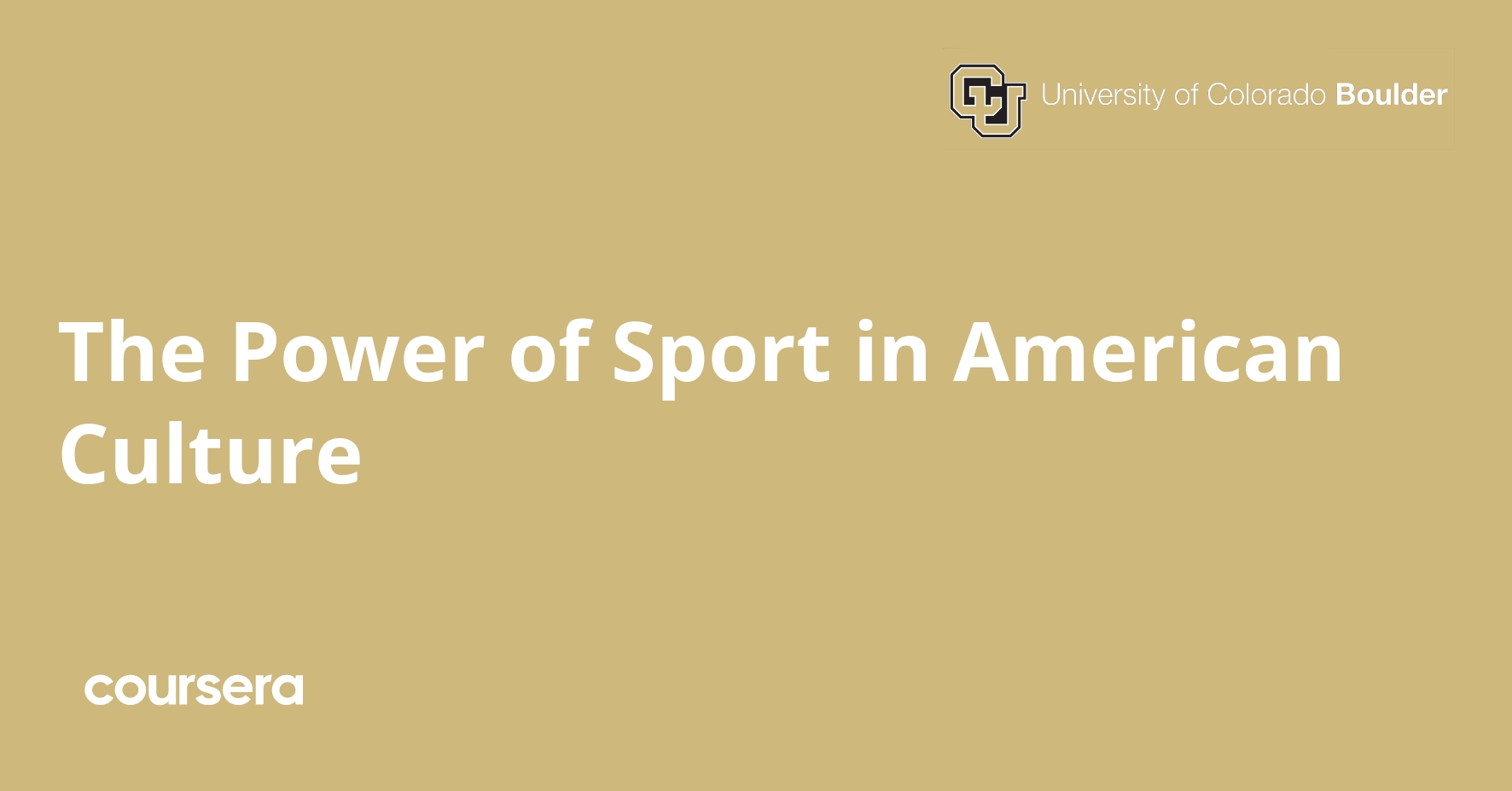 The Power of Sport in American Culture