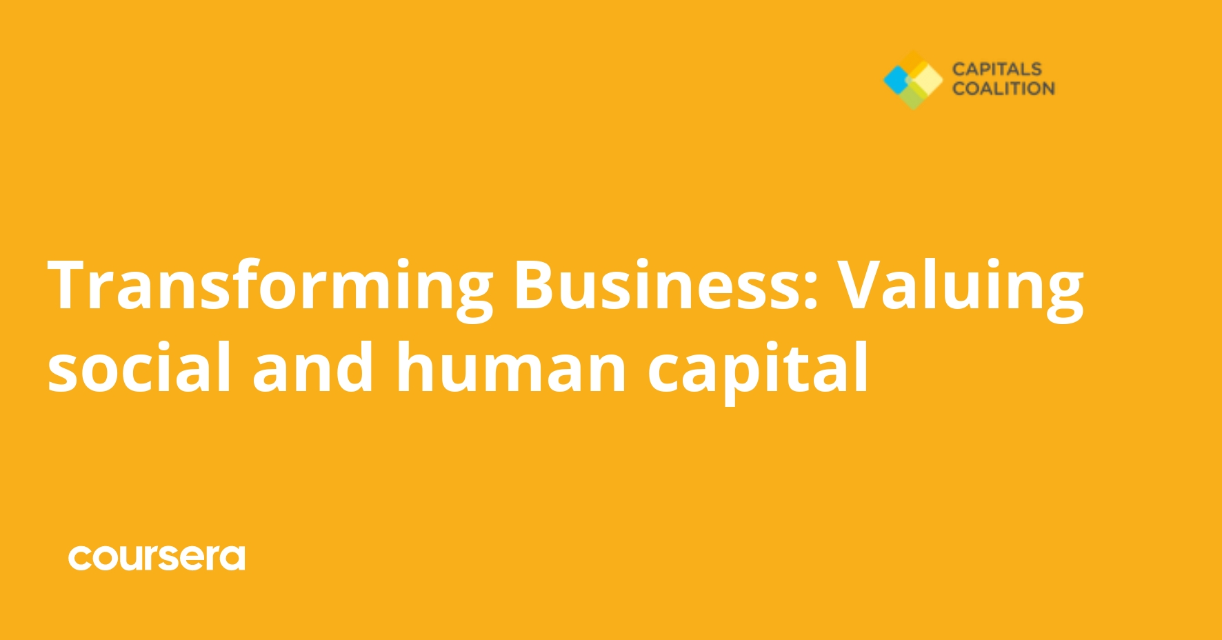 Transforming Business: Valuing social and human capital