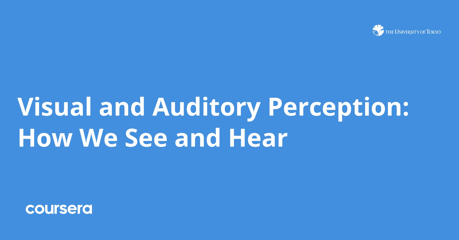 Visual and Auditory Perception: How We See and Hear