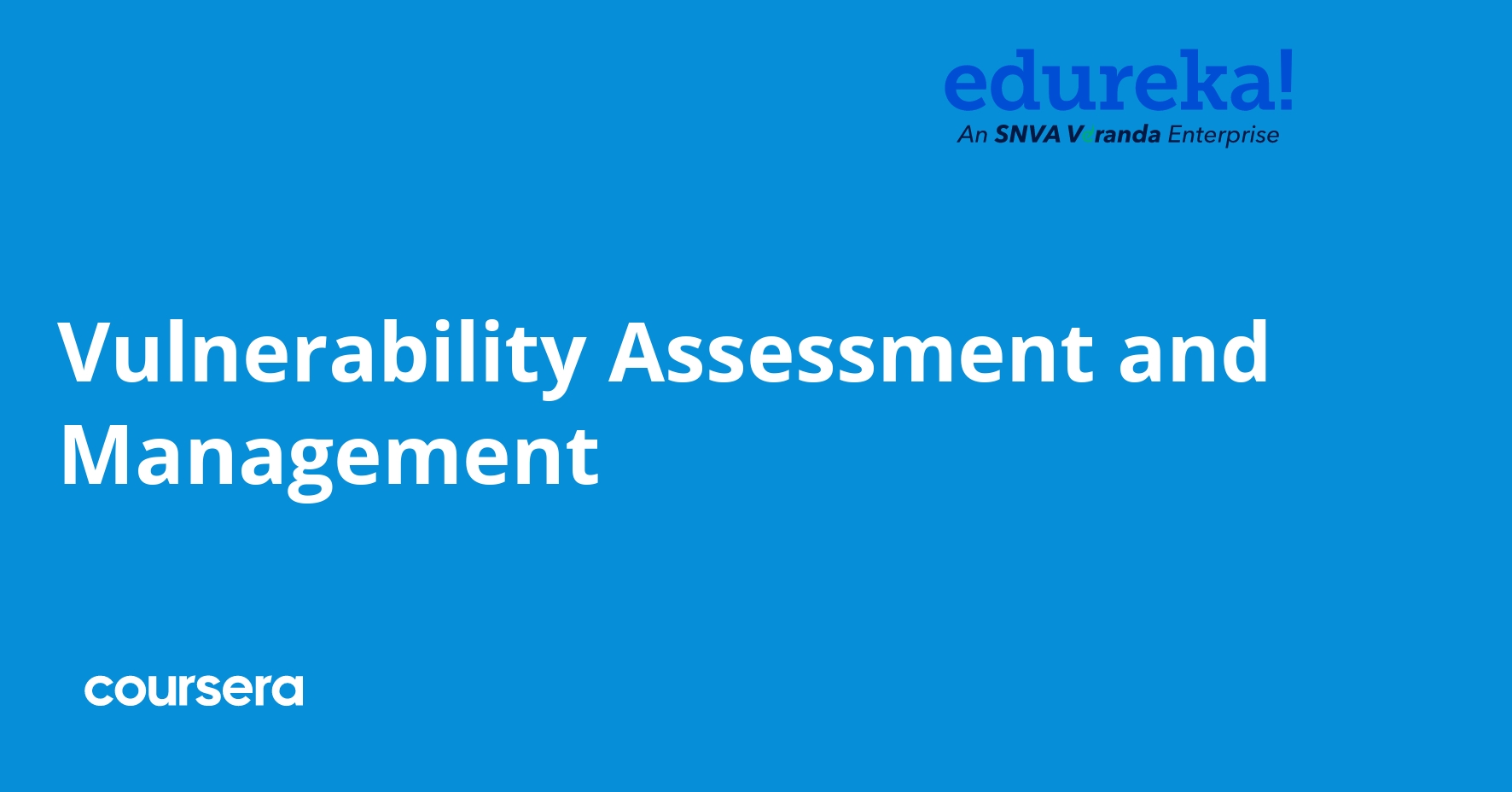 Vulnerability Assessment and Management