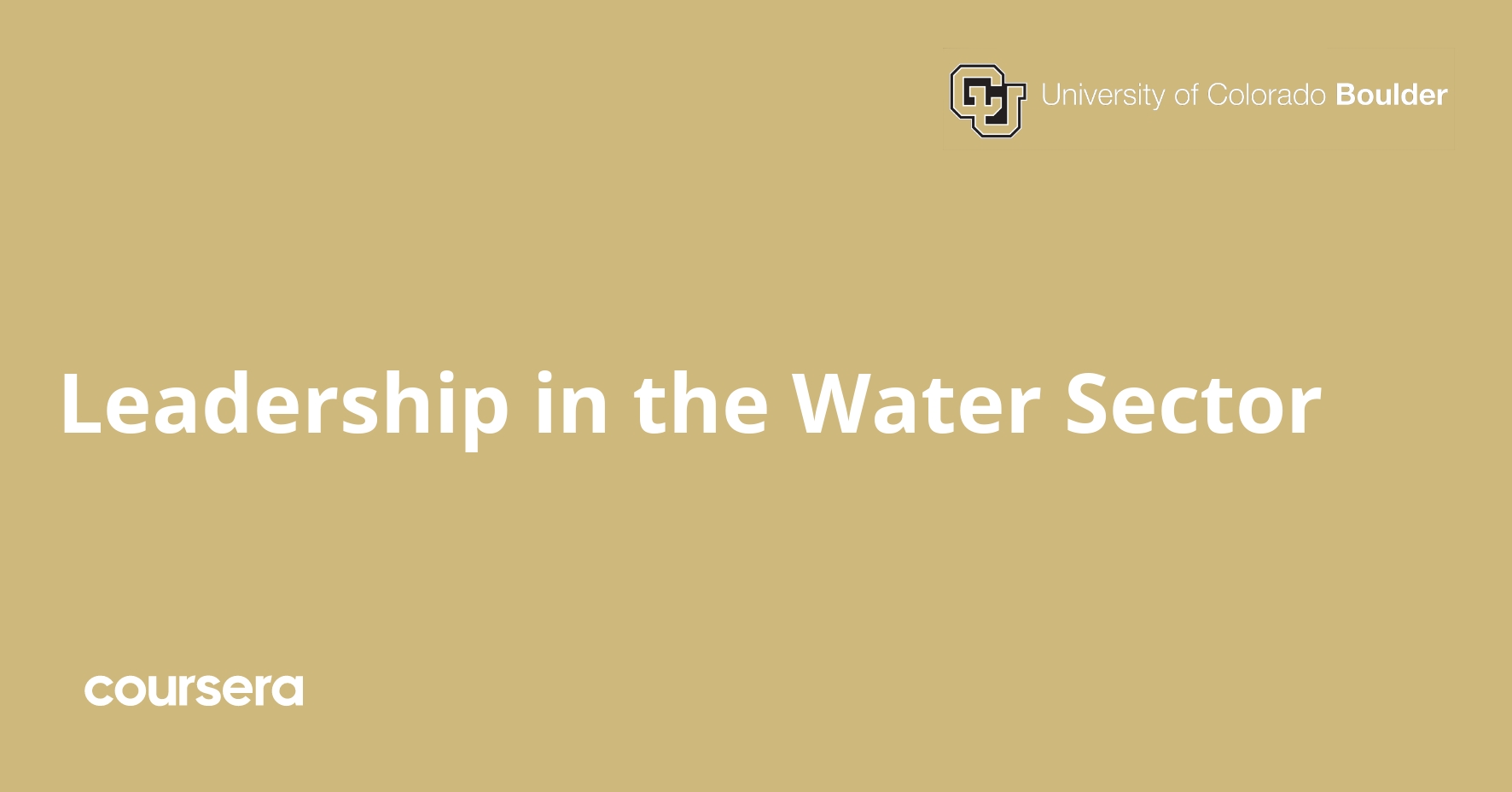 Leadership in the Water Sector