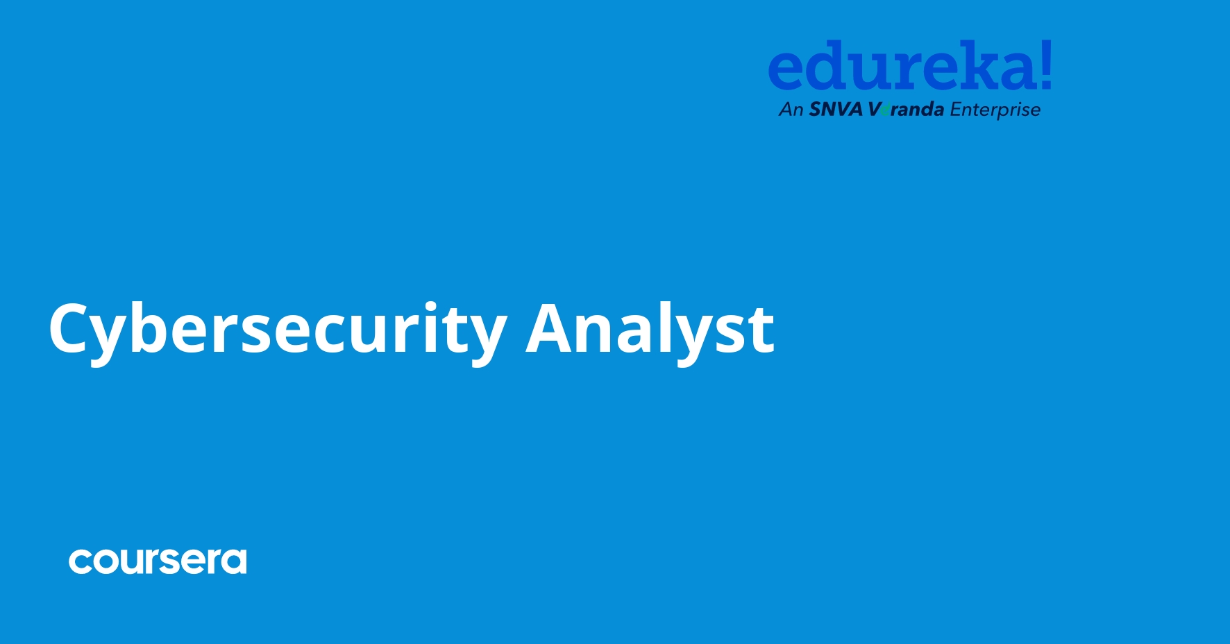 Cybersecurity Analyst