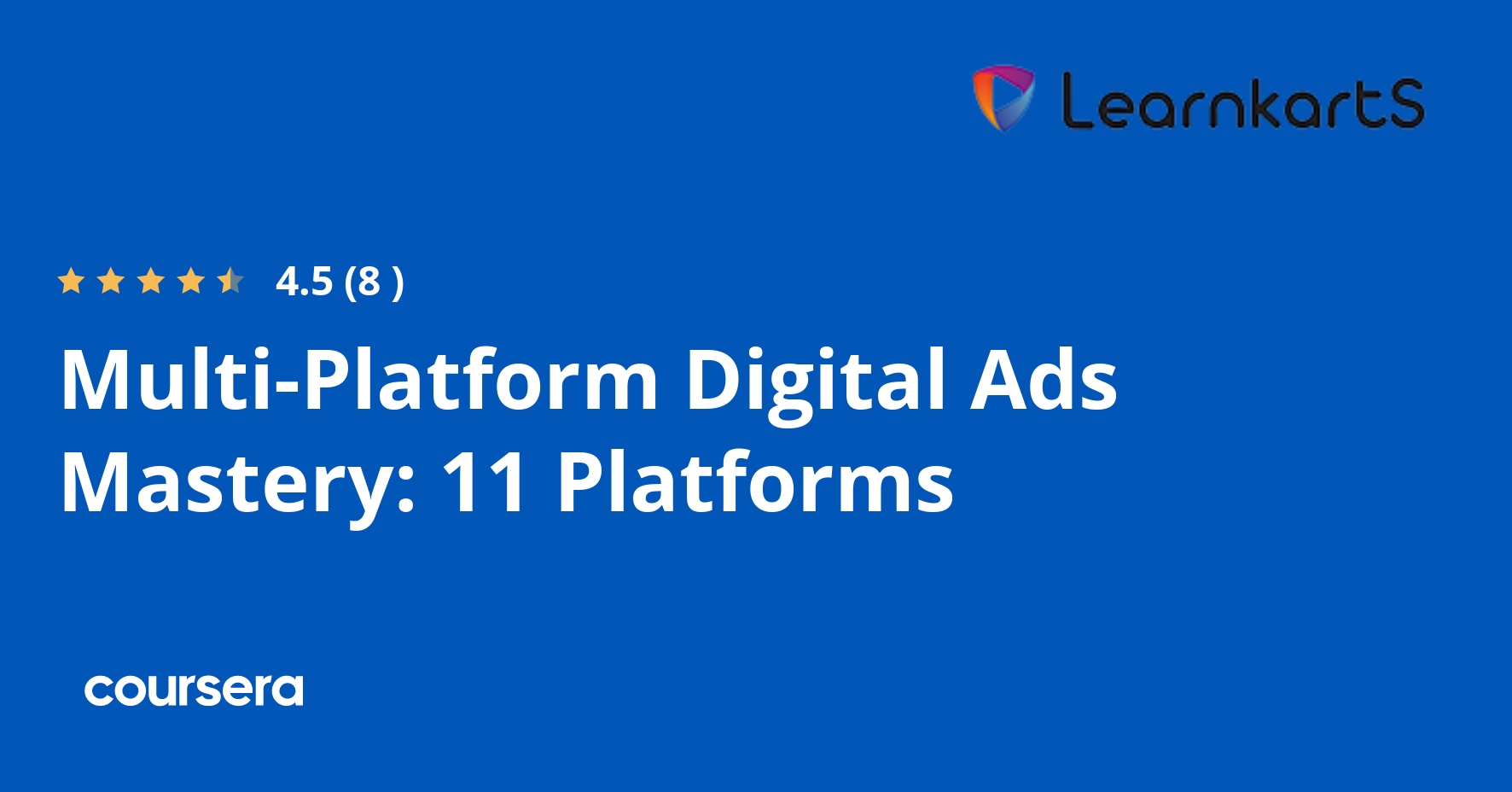 Multi-Platform Digital Ads Mastery