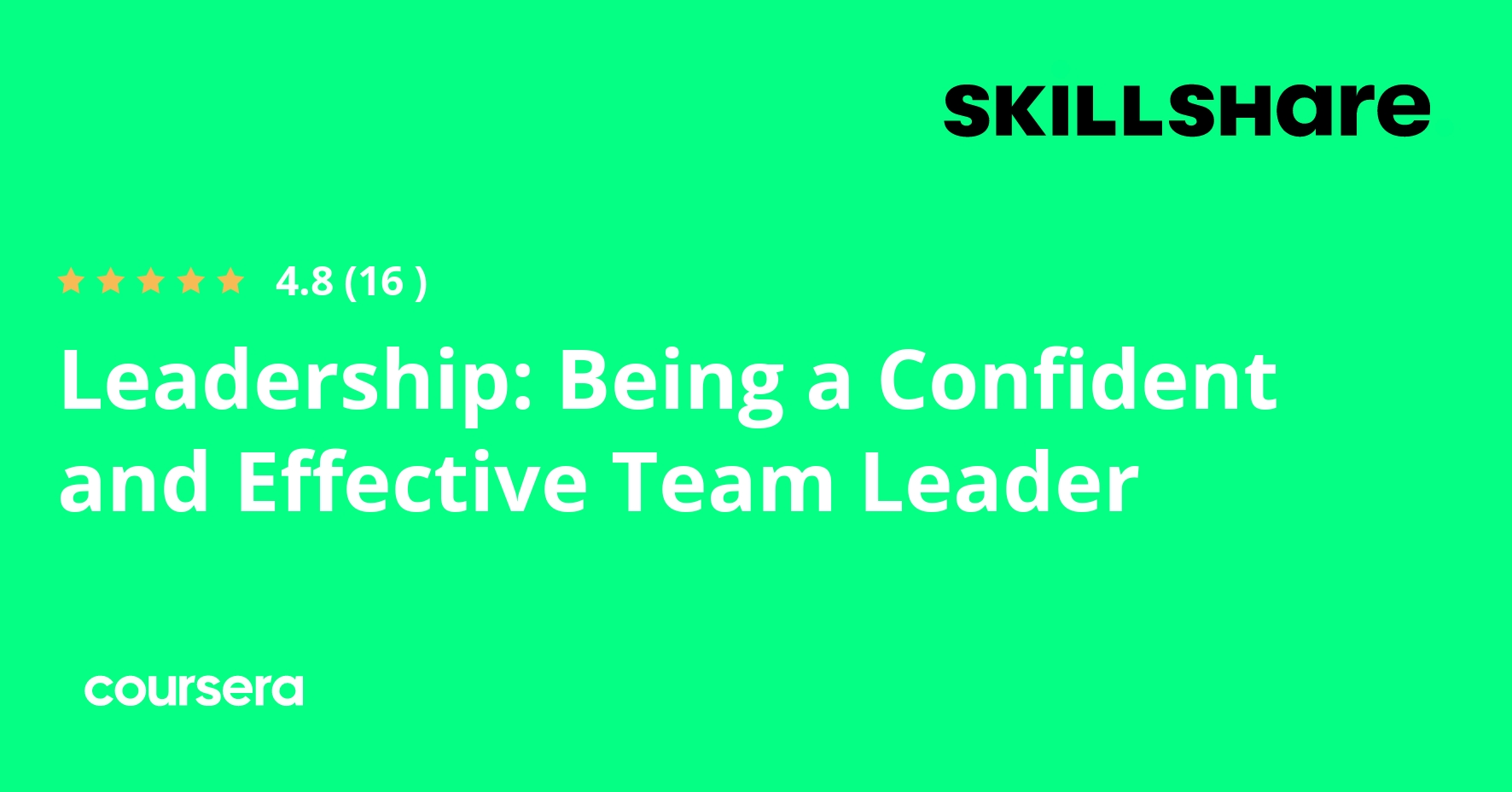 Leadership: Being a Confident and Effective Team Leader
