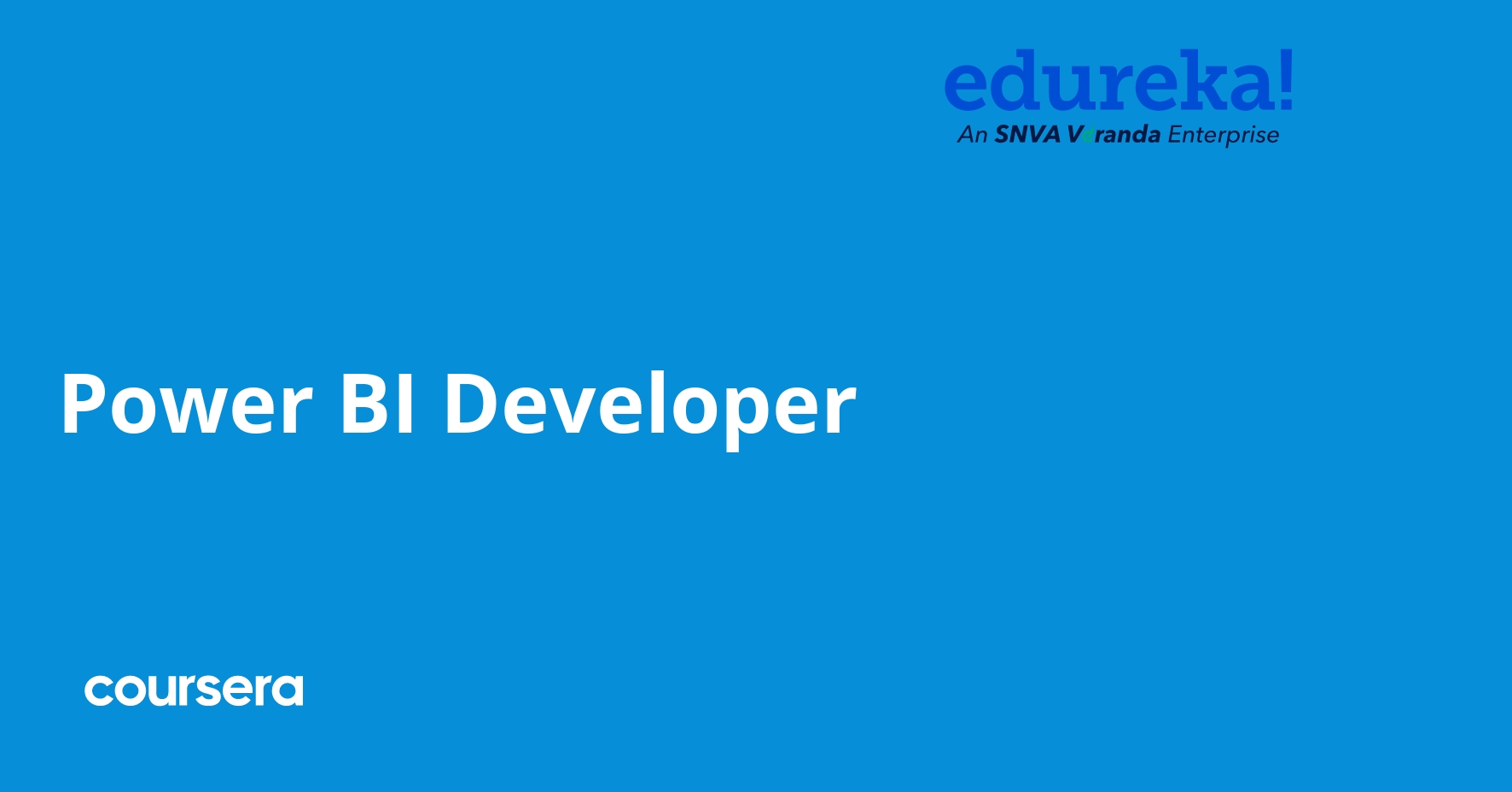 Power BI Developer