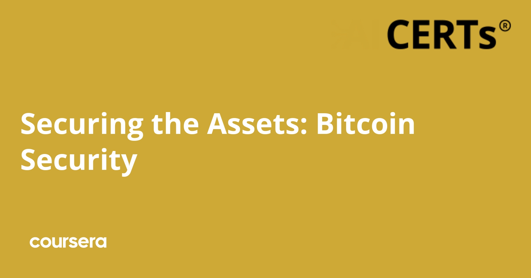 Securing the Assets: Bitcoin Security