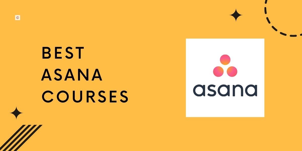 6 Best Asana Courses to learn Task Management in 2022