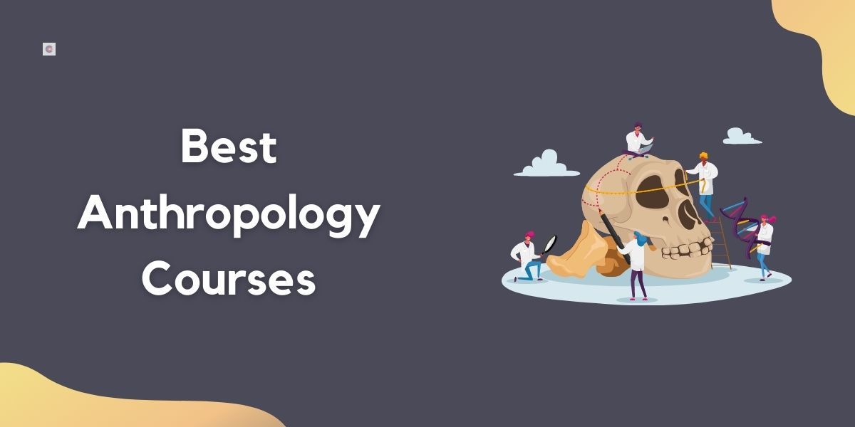 5 Best Anthropology Courses For Beginners in 2022