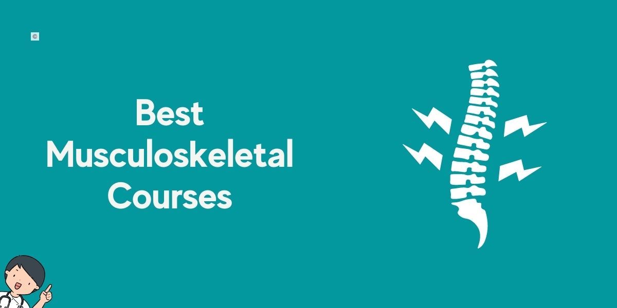 8 Best Musculoskeletal Courses For Beginners in 2022