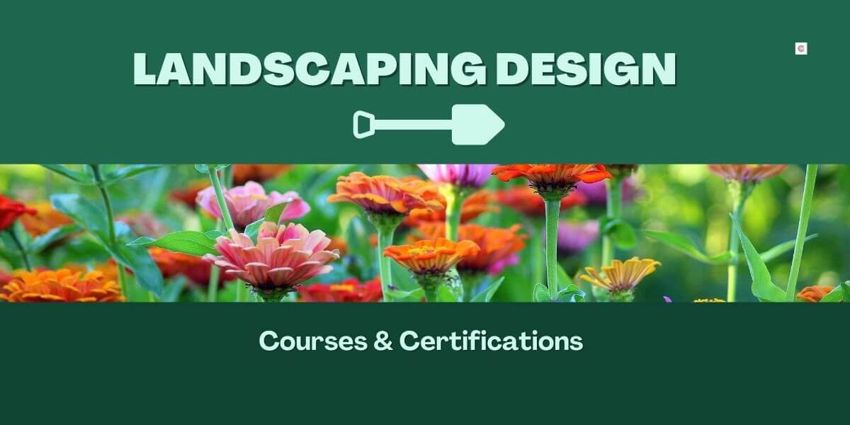 4 Best Landscaping Design Courses For Beginners In 2022
