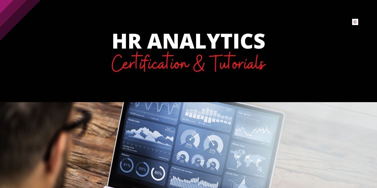 12 Best Fashion Design Certifications and Courses [2022 Edition]