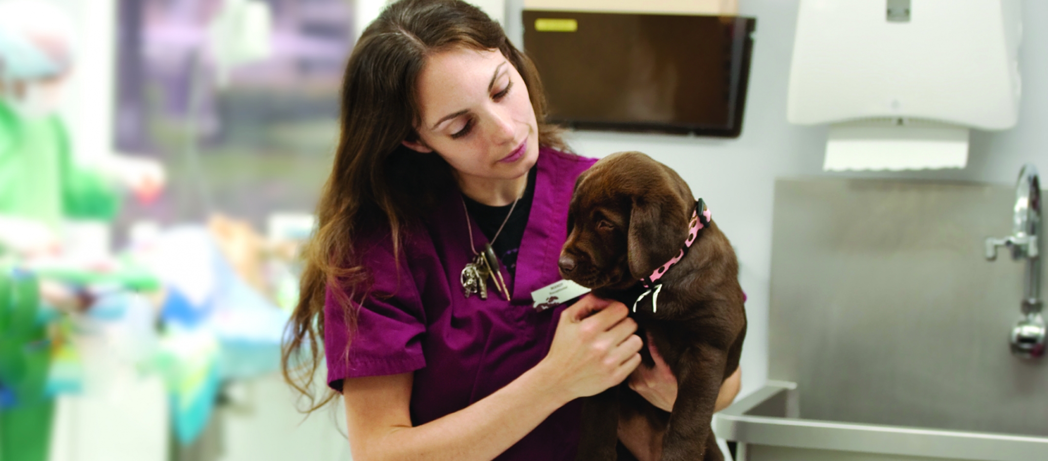 NCVA159M Veterinary Assistant Manchester Community College