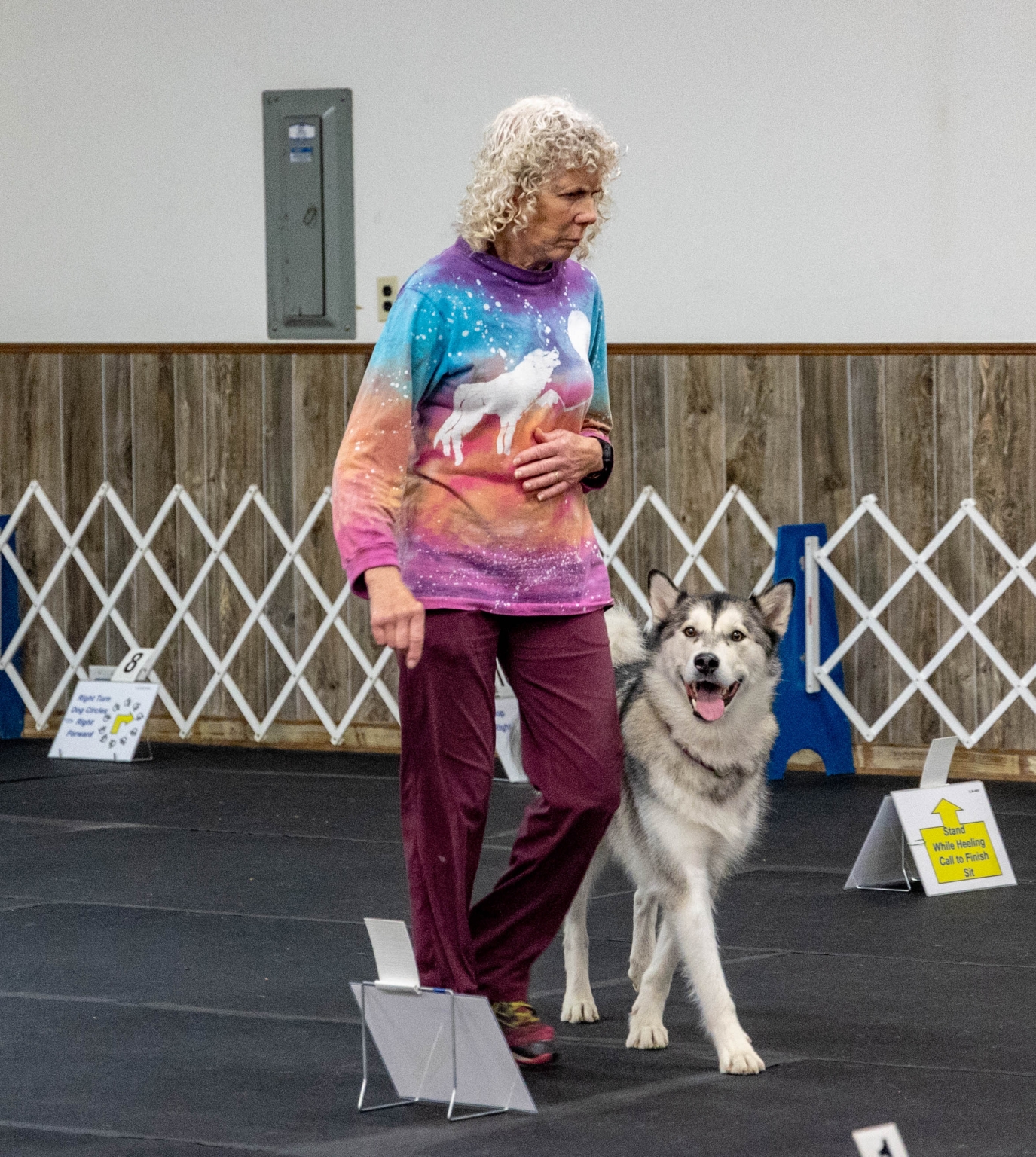 261-320 RALLY ALL LEVELS | Ann Arbor Dog Training Club