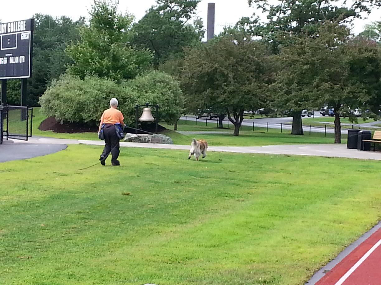 262-616 TRACKING - ALL LEVELS | Ann Arbor Dog Training Club