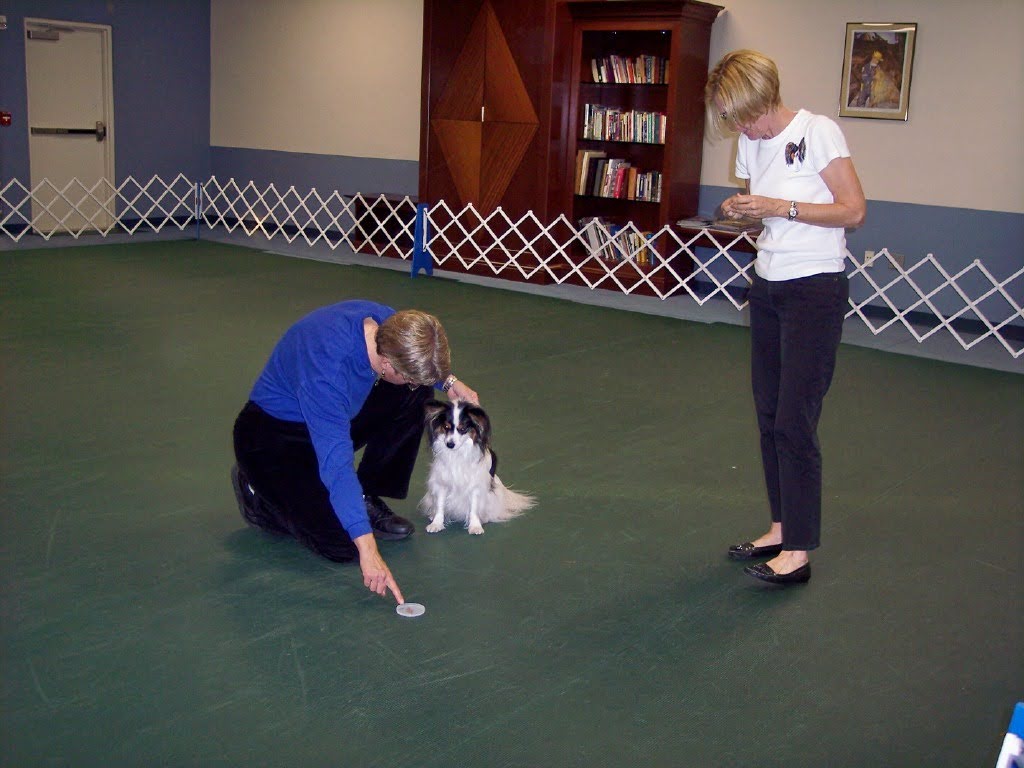 North Kansas City, Missouri visual data 3