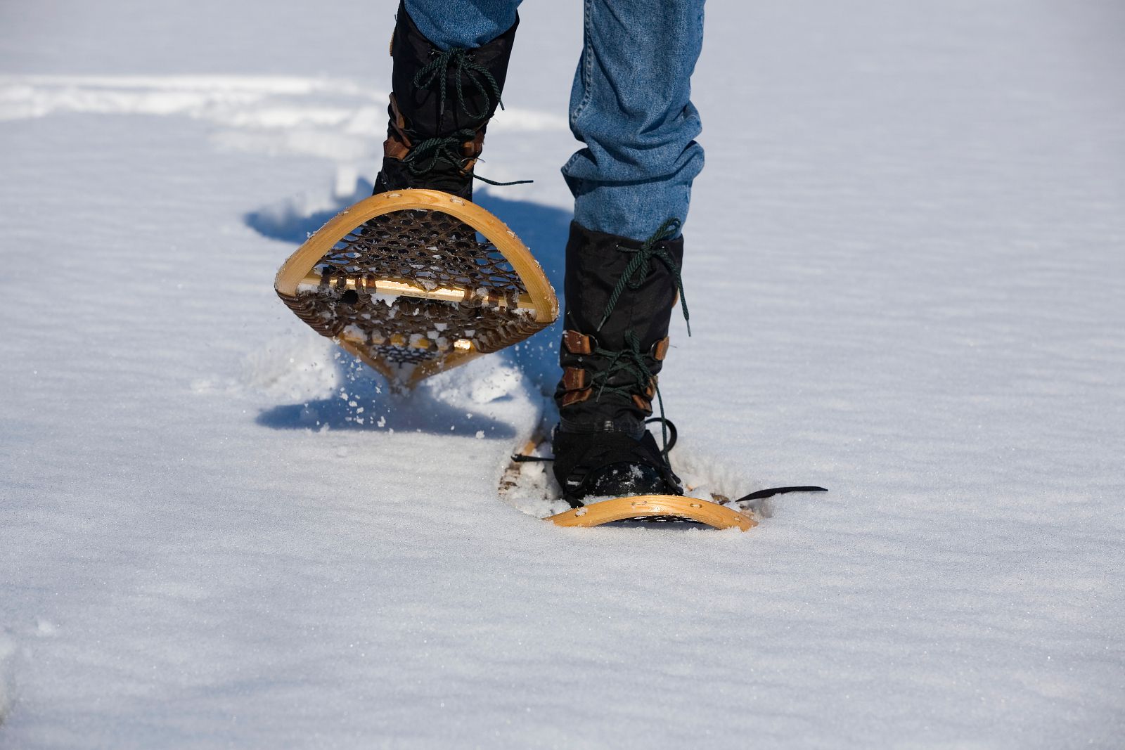 snow shoe
