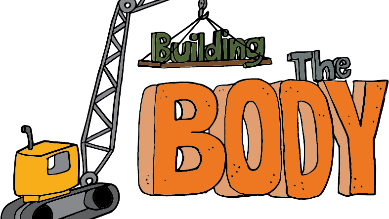 Building the Body Logo 16:9 ratio