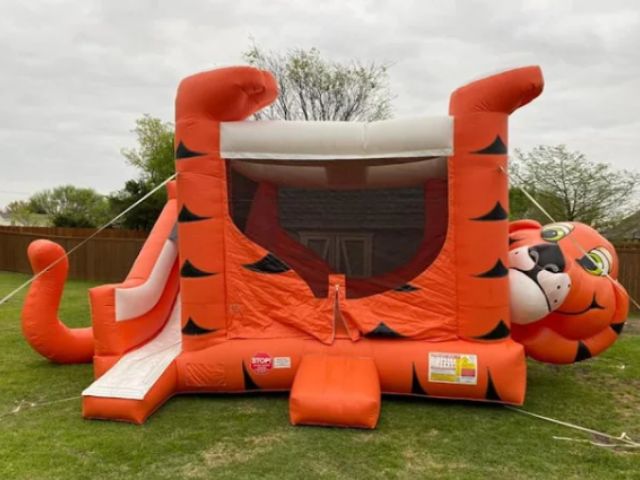 Houston TX Bounce House and Slide Rentals
