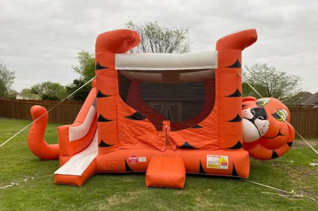 Backyard Bounce House Rental Mansfield TX