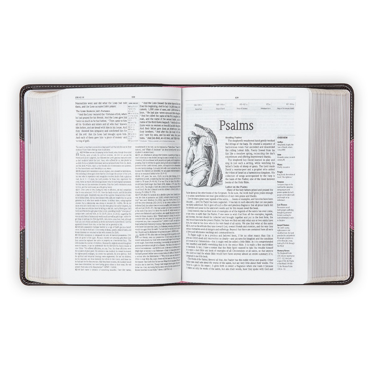 The Lutheran Study Bible - Compact DuoTone Pink/Chocolate