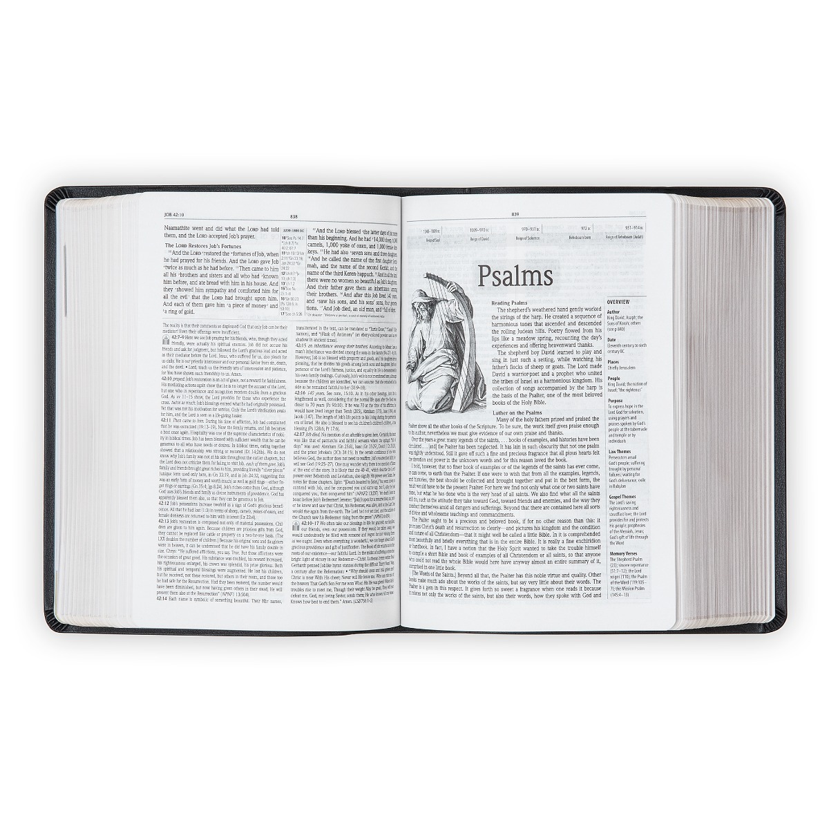 絶版　希少Lutherie in Bologna Roots & Success The Lutheran Study Bible - Compact Black Bonded Leather