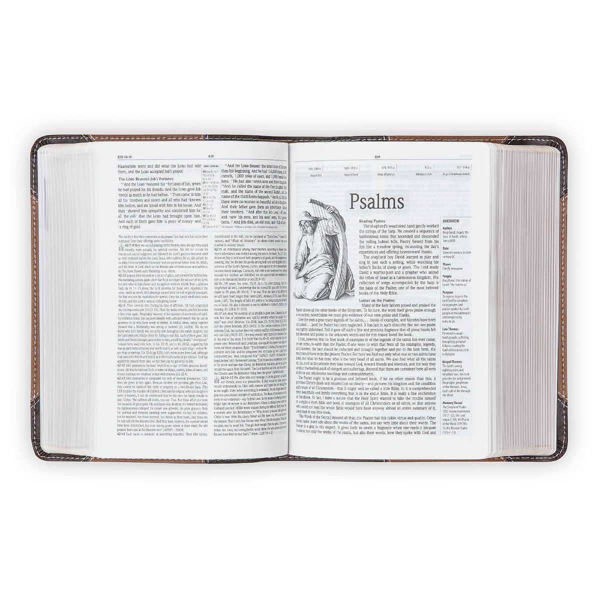 The Lutheran Study Bible - Compact DuoTone Brown Bonded Leather