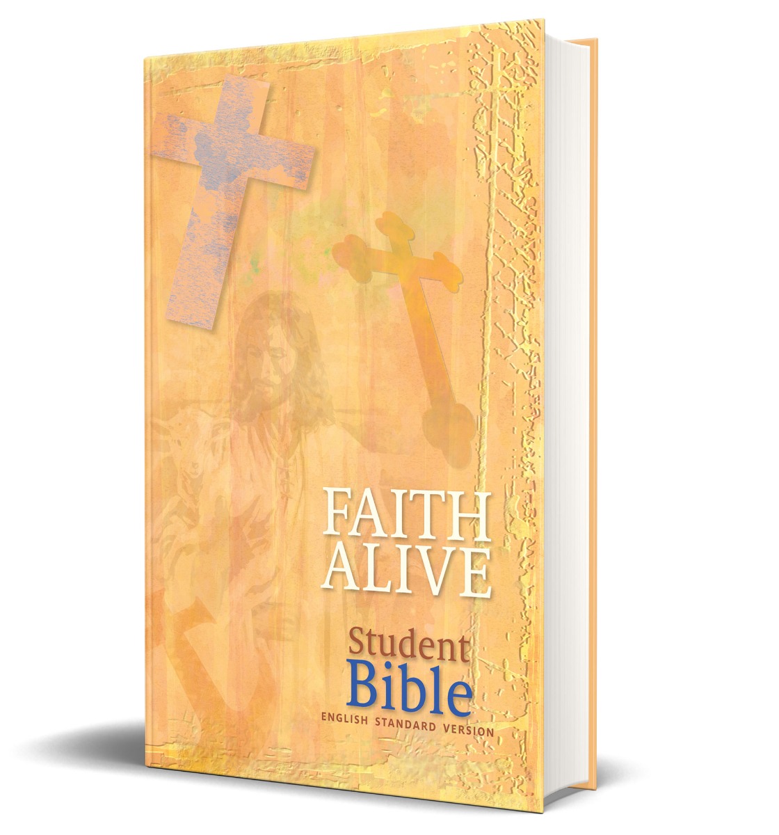Faith Alive Student Bible - ESV Translation - Concordia Publishing 