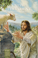 New Testament Outreach Bible (Case of 50)