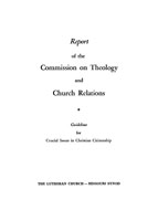 Guidelines for Crucial Issues