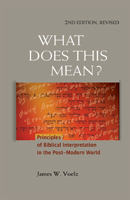 What Does This Mean? (ebook Edition)