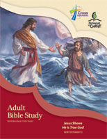 Adult Bible Study (NT2) - Downloadable