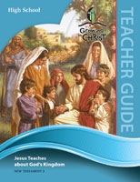 High School Teacher Guide (NT3)