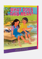 What Does This Mean? Big Book