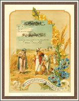 Vintage Marriage Certificate