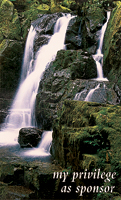 Sponsor Folder - Waterfall (Pkg of 12)
