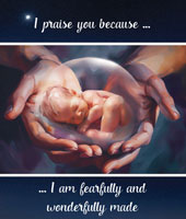 I Praise You … Fold-Out Brochure 