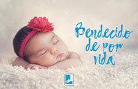 Blessed for Life/Bendecido de por vida - Life Sunday 2023 Spanish Bulletin Insert