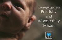 Fearfully and Wonderfully Made – 2026 Life Sunday Bulletin Insert 