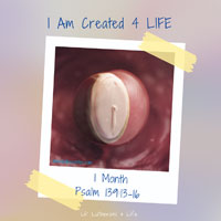 Lil’ Lutherans 4 Life – I Am Created 4 Life – 1 Month