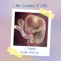 Lil’ Lutherans 4 Life – I Am Created 4 Life – 2 Months