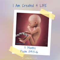 Lil’ Lutherans 4 Life – I Am Created 4 Life – 5 Months